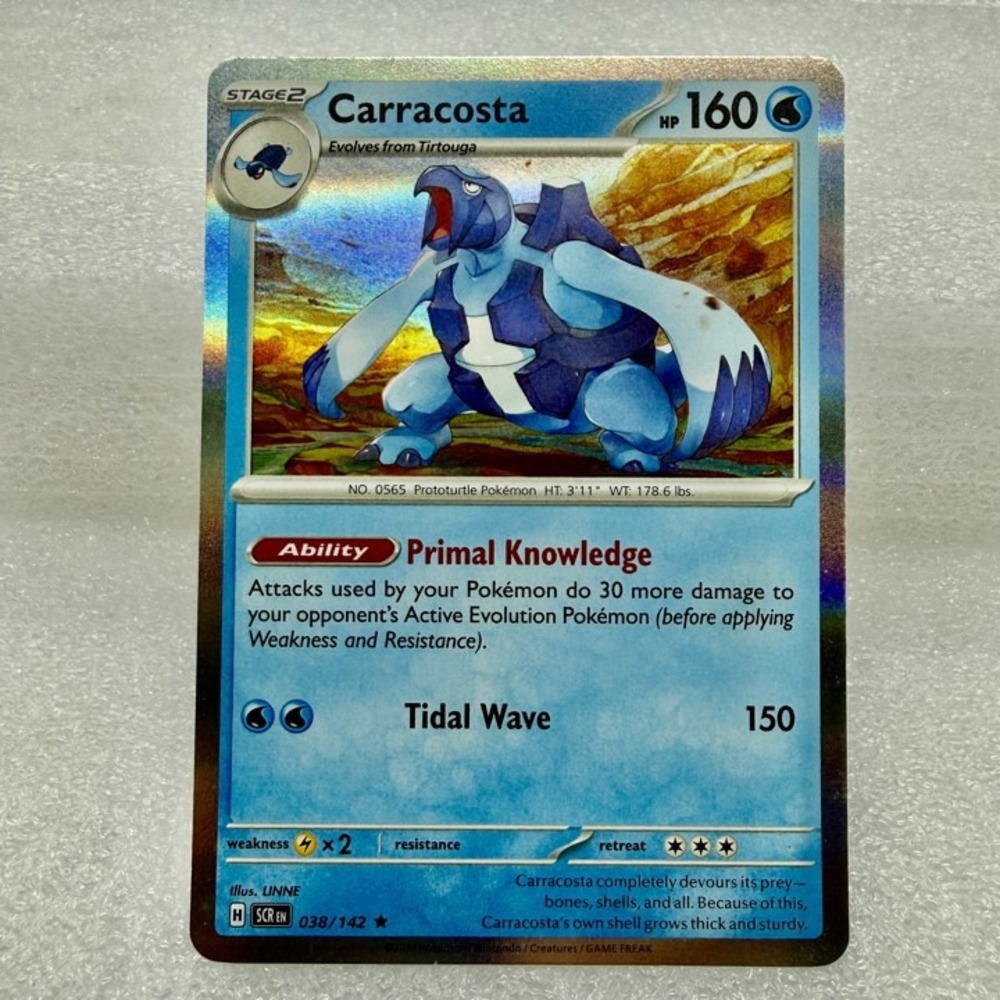Carracosta 038/142 Sv07: Stellar Crown Holo Pokémon TCG Mint Unplayed